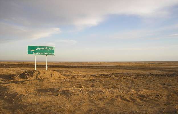 گاوخونی در تقلای حیات