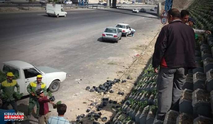 گلکاری فلاور باکس های ضلع شمالی تفرجگاه ائل باغی (حاشیه ی اتوبان شهید کسائی)