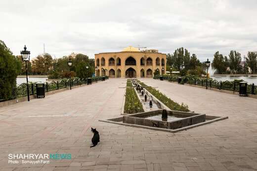 برودت دما تبریز را خلوت کرد