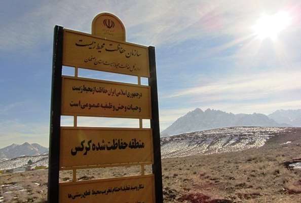 دستگیری یک گروه متخلف شکار و صید قبل از شکار در منطقه حفاظت شده کرکس نطنز