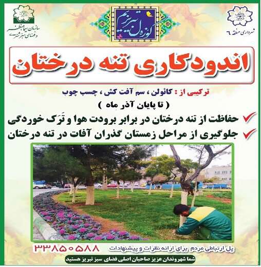 انجام اقدامات مراقبتی از درختان غرب و شمالغرب تبریز
