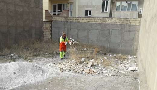 ۶۰ قطعه خالی از سکنه سطح حوزه پاکسازی شد