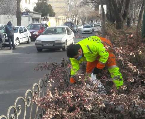 پاکسازی رفوژهای سطح حوزه از مواد خطرساز زیست محیطی