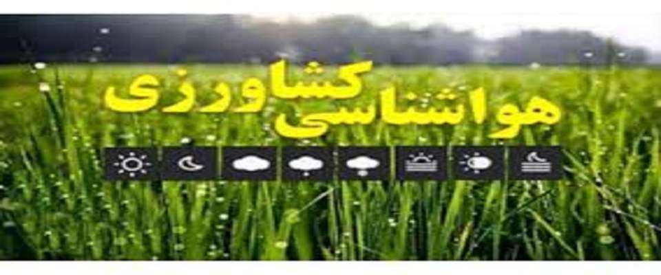 هشدارهای هواشناسی به کشاورزان و دامداران/ کم‌بارشی تا پایان اسفند ادامه دارد