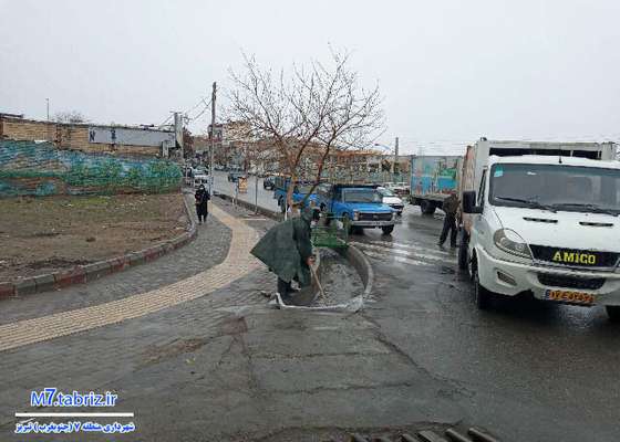 لایروبی بیش از ۳۶۰۰ تن لجن در جنوب‌غرب تبریز