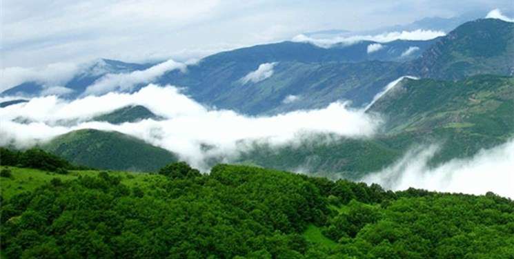 کشف درختان قطع شده جنگل قره‌داغ