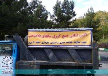 زنده گیری 110 سگ بلاصاحب در جنوب غرب تبریز