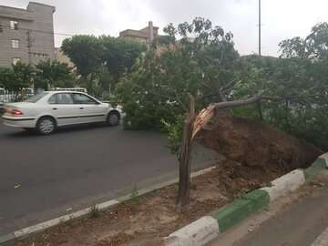 هشدار سازمان هواشناسی درباره وزش باد شدید، رگبار و رعد و برق