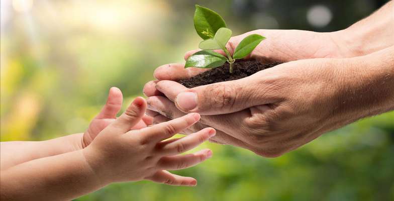 احترام به محیط‌زیست باید از کودکی آموزش داده شود