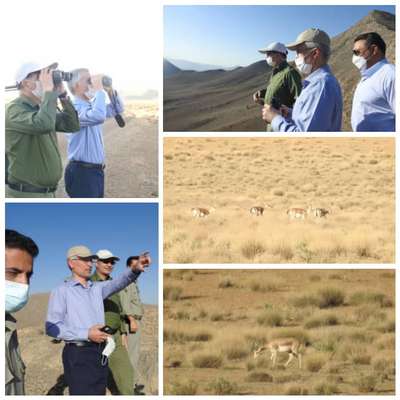 به مناسبت روز جهانی تنوع زیستی و در آستانه هفته محیط زیست؛بازدید مدیرعامل ذوب‌آهن اصفهان از پارک ملی قمیشلو