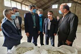 ایجاد ۴۰ درصد اشتغال خالص کشور توسط کمیته امداد