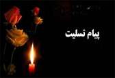 تسلیت و دستور وزیر راه برای بررسی سانحه واژگونی اتوبوس خبرنگاران