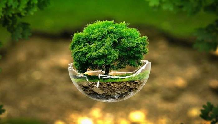 استقبال برنامه عمران سازمان ملل از ایده های برتر سازمان های مردم نهاد