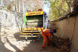 جمع آوری بیش از هزار تن برگ درخت از سطح شهر