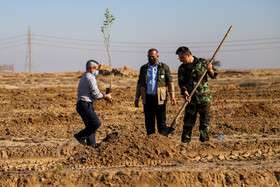 عملیات ۲ هزار هکتاری بیابان زدایی در خوزستان اجرا می‌شود