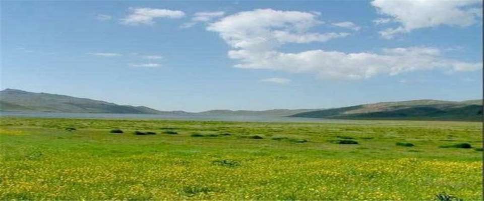 ممیزی ۴.۸ میلیون هکتار از مراتع تا شهریور ۱۴۰۱