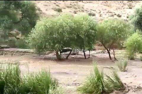 وقوع سیل استهبان خارج از محدوده شهری و روستایی بود/هیچ واحد مسکونی خسارت ندیده است