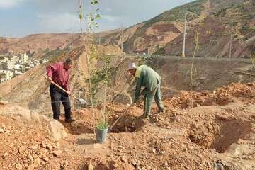 کاشت نهال در منطقه حاشیه‌نشین نیایش