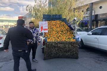 آغاز ساماندهی وانت‌های سد معبر کننده در معابر سطح حوزه