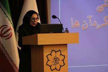 تبریز پتانسیل مناسبی برای سنگفرش معابر دارد