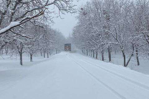 بارش برف در همدان طی ۱۵ سال اخیر  کم سابقه بوده است