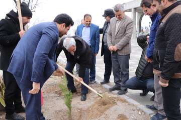 برگزاری آیین درختکاری در سازمان آرامستان های تبریز