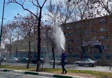 آغاز سمپاشی درختان سطح حوزه شهرداری منطقه ۲