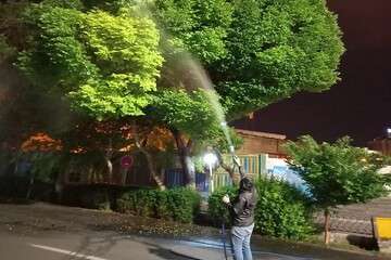 سمپاشی بهاره در فضاهای سبز حوزه شهرداری منطقه ۸