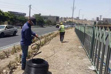 اجرای آبیاری قطره‌ای پنج کیلومتری در رفوژ میانی جاده تهران