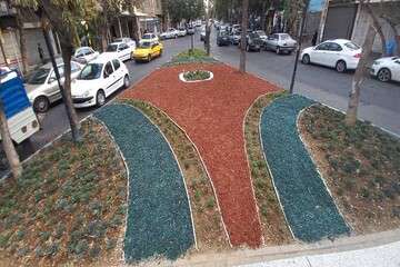 کاشت بیش از ۱۰۰ هزار بوته گل پاییزی در سطح حوزه شهرداری منطقه ۱۰ تبریز