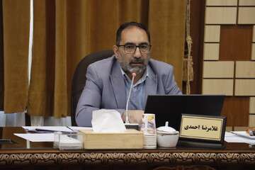 الگوهای رفتاری پیرغلامان، ارزشمند و آموزنده است