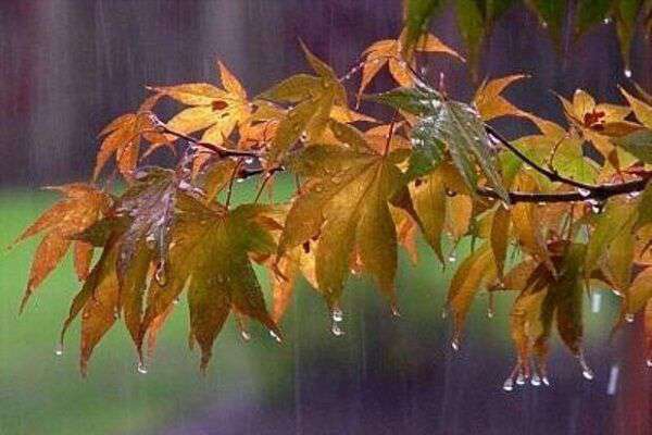 صدور هشدار سطح نارنجی برای بارش باران در ۵ استان
