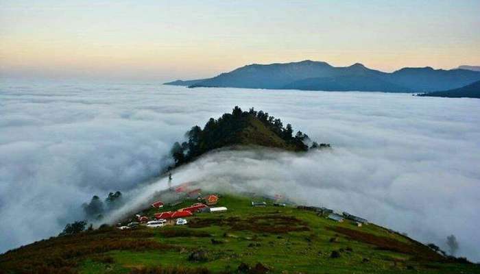  هرآنچه باید درباره جنگل ابر شاهرود بدانید