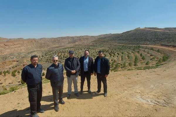 جنگل کاری ۵۵ هکتاری پارک آرپا دره سی طی یکسال در شرق تبریز