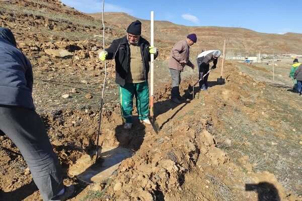 کاشت ۳۴ هزار اصله نهال در فاز دوم تفرجگاه جنگلی آرپادره‌سی در سال ۱۴۰۲