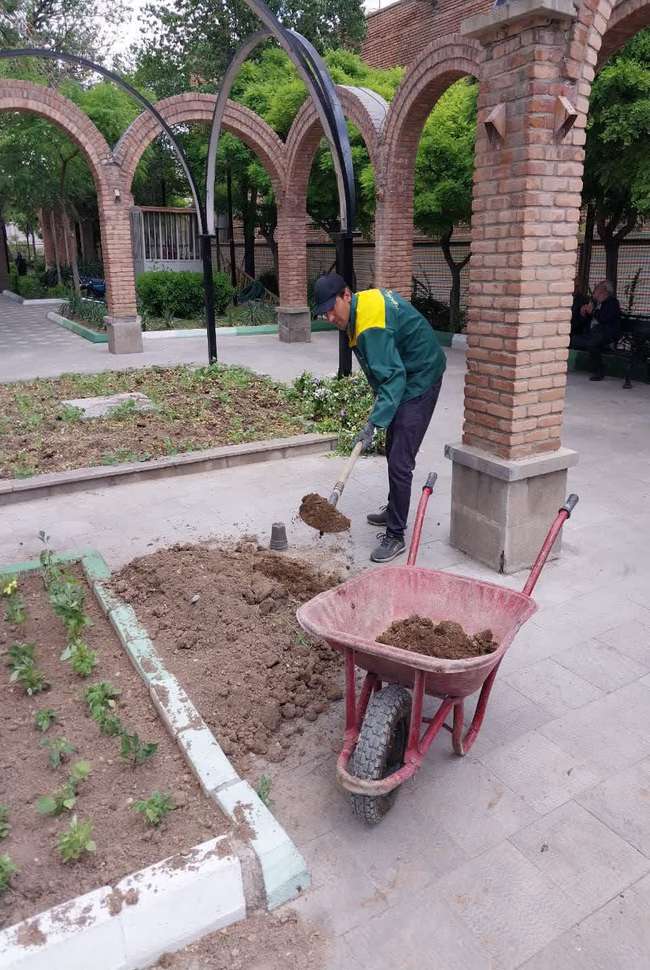 کاشت گلهای فصلی در بوستان خاقانی