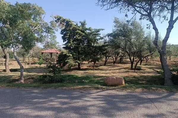 پارک جنگلی ۹۰ هکتاری ارم؛ ظرفیت گردشگری شمالغرب تبریز