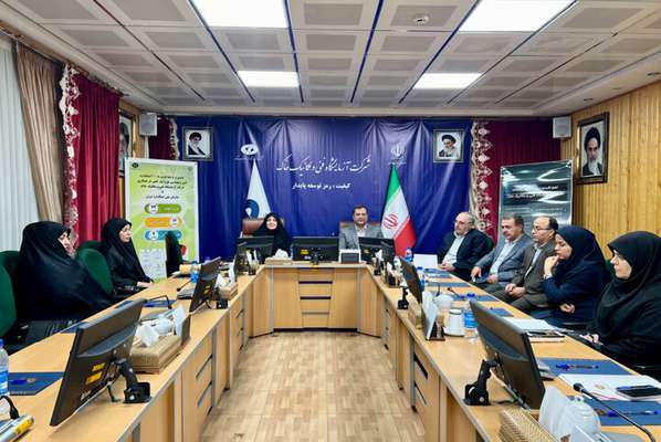 مشاوران امور بانوان، بازوان و پیشران اجرایی در شرکت‌ها و سازمان‌های تابعه برای انجام ماموریت‌ها