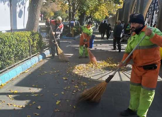 کاشت ۱۰۰ درخت بومی در پیاده روهای بلوار جمهوری اسلامی تبریز