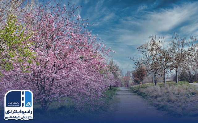 بشنوید| بارش پراکنده باران در ارتفاعات زاگرس مرکزی