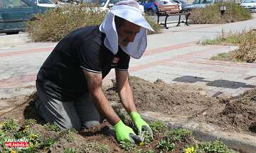 تلاش جمعی از سبزبانان منطقه برای کاشت گلهای بهاری