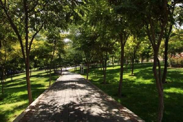 پارک شقایق، تلاقی آرامش و نشاط در شمال تبریز