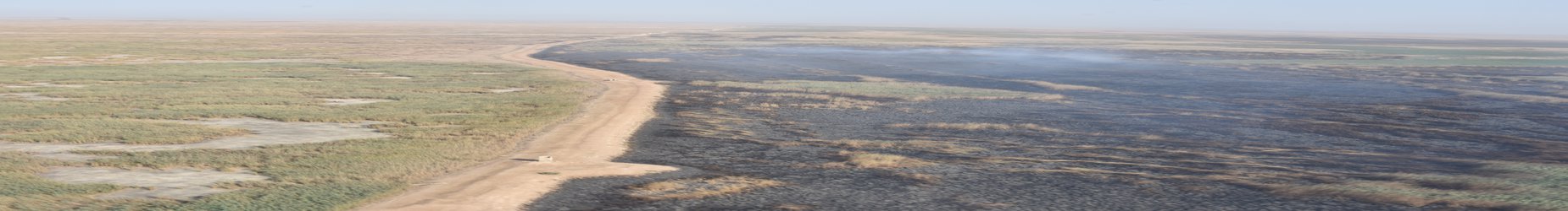 آخرین اقدامات برای ملزم کردن عراق به تامین حق آبه  تالاب