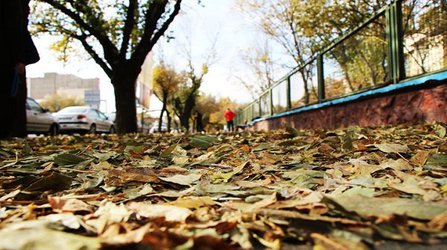 استقبال شهروندان از طرح پاییزی شهرداری تبریز/ رنگ و بوی ویژه پاییز در تبریز