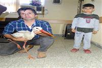 تحویل لک لک زخمی توسط دوستدار حیات وحش در رودبار